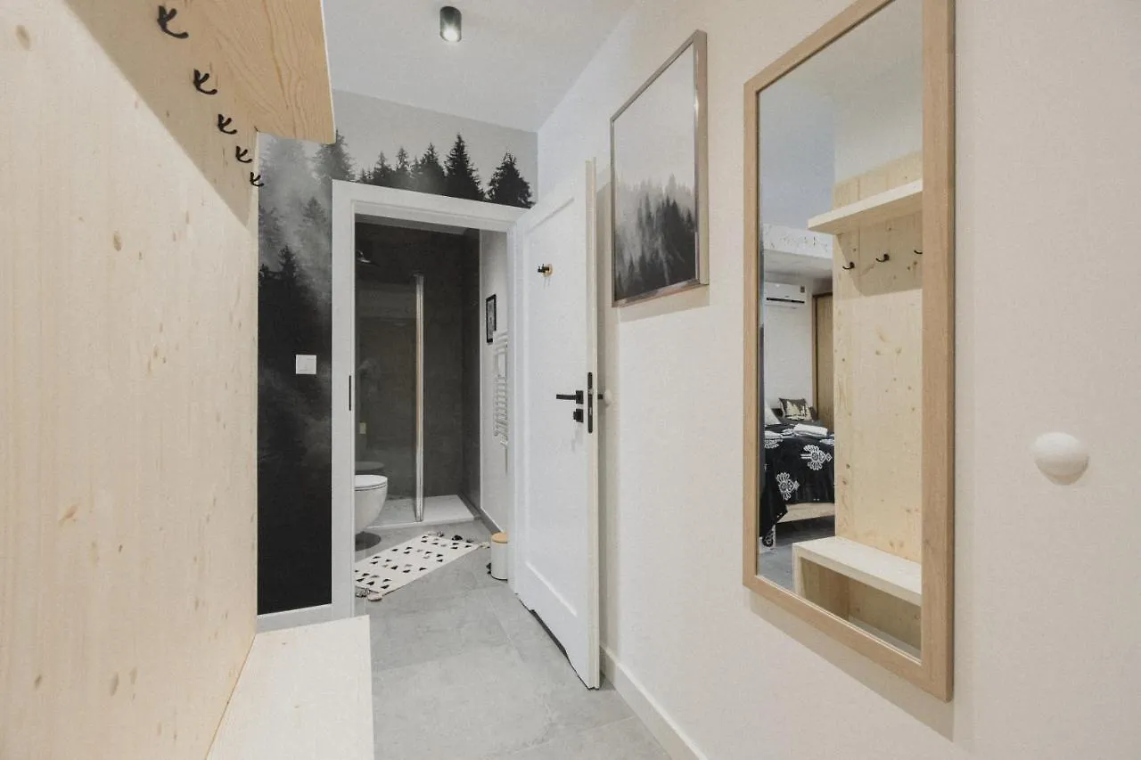 Apartment Apart H900 Zakopane Poland